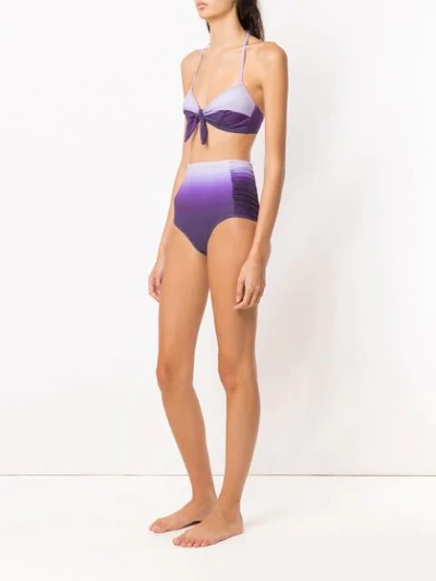 Shop Amir Slama Hot Pants Bikini Set In Purple