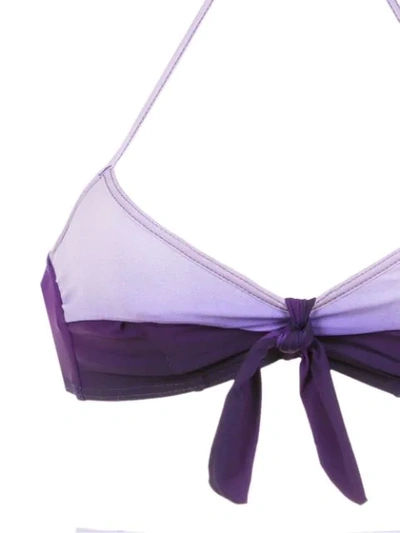 Shop Amir Slama Hot Pants Bikini Set In Purple