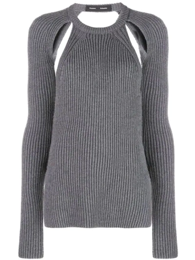 Shop Proenza Schouler Heavy Knit Crew Neck Top In Grey