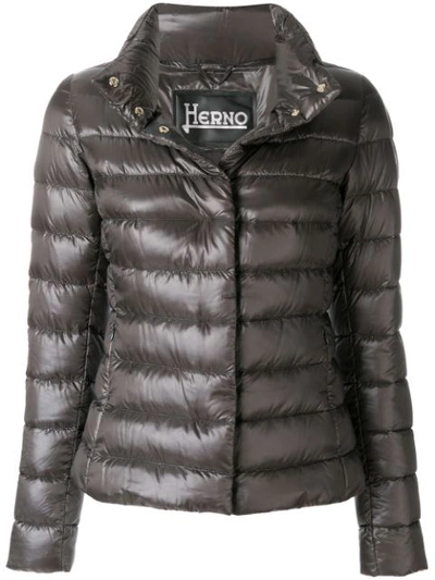 Shop Herno Padded Jacket - Grey