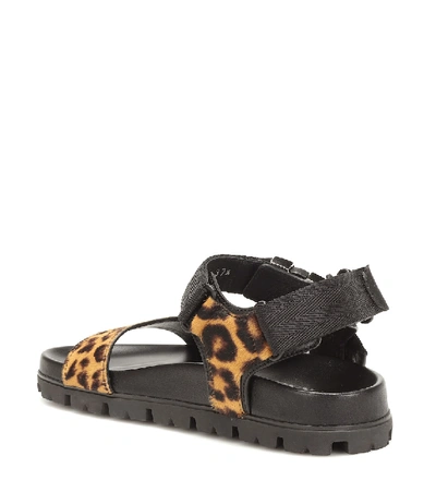 Shop Prada Leopard-print Calf-hair Sandals In Black