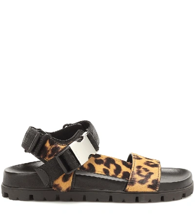 Shop Prada Leopard-print Calf-hair Sandals In Black