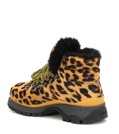 Shop Prada Leopard-print Calf Hair Ankle Boots In Yellow