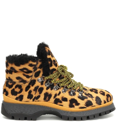 Shop Prada Leopard-print Calf Hair Ankle Boots In Yellow