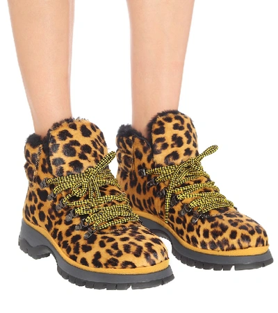 Shop Prada Leopard-print Calf Hair Ankle Boots In Yellow