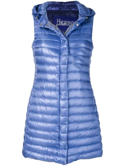 Shop Herno Hooded Padded Gilet In Blue