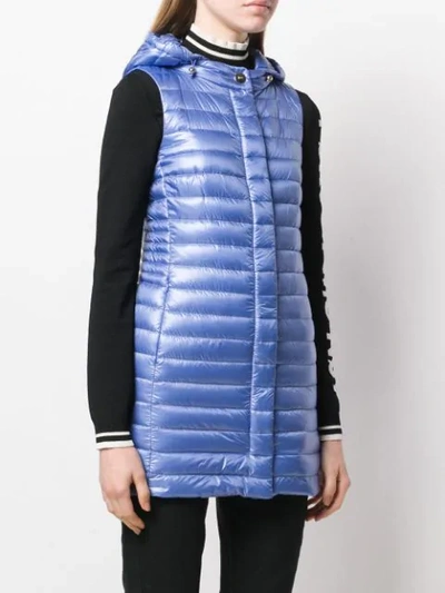 Shop Herno Hooded Padded Gilet In Blue