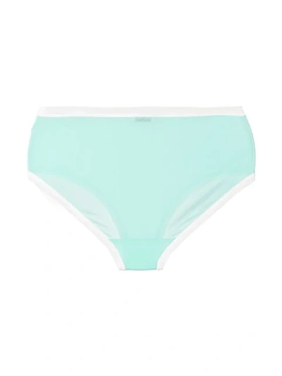 Shop Miu Miu Contrast Trim Briefs In Blue