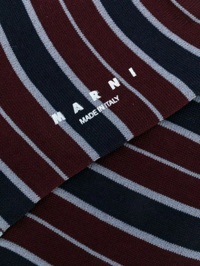 Shop Marni Striped Socks In Rgr90