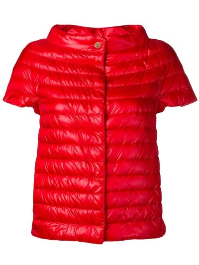 Shop Herno Shortsleeved Padded Jacket In Red