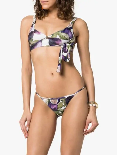 Shop Adriana Degreas Fig Print Wrap Tie Bikini Set In Purple