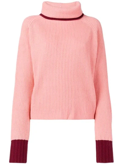Shop Sportmax Zelig Turtleneck Sweater - Pink