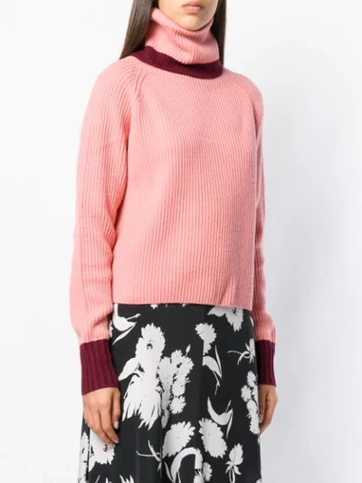 Shop Sportmax Zelig Turtleneck Sweater - Pink