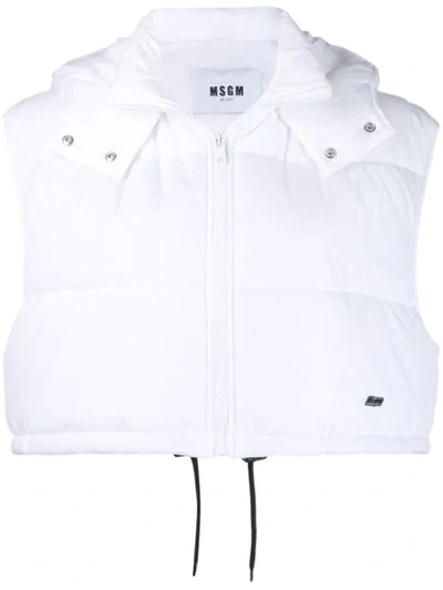 Shop Msgm Cropped Padded Gilet In White