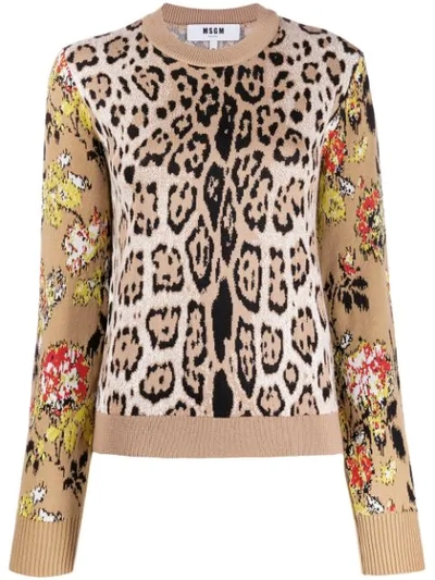 Shop Msgm Leopard Print Sweatshirt In Brown