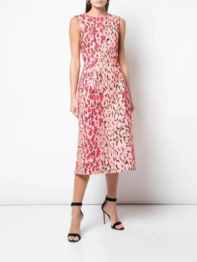 Shop Carolina Herrera Animal Print Midi Dress - Pink
