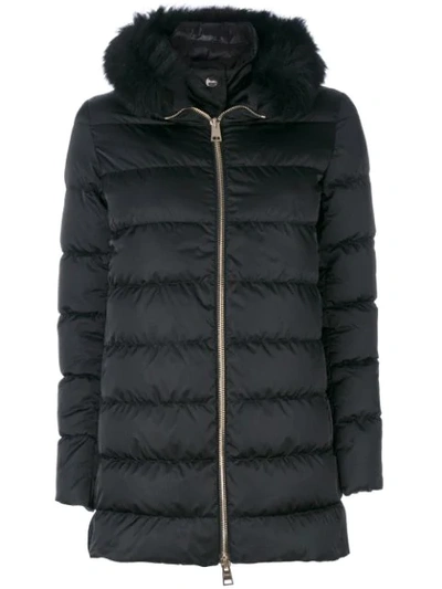 Shop Herno Fur Trim Hooded Coat In Black