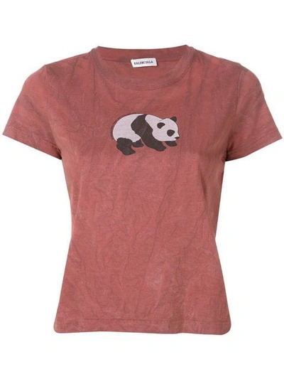 Shop Balenciaga Panda T-shirt In Brown