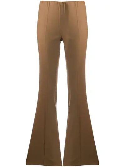 Shop P.a.r.o.s.h Flared Trousers In Brown