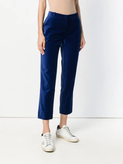 Shop Pinko Velvet Cropped Trousers In Blue