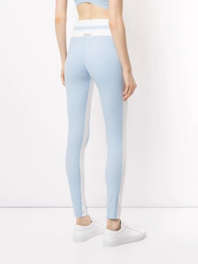 Shop Vaara Flo Tuxedo Leggings In Blue