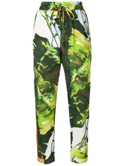 Shop Blugirl Printed Tapered Trousers In Green