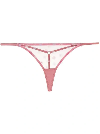 MYLA ELDER GARDENS丁字裤 - 粉色