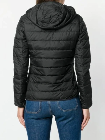 Shop Ea7 Basic Zipped Puffer Jacket In Black