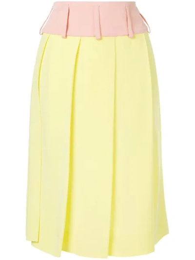 Shop Marni Pleated Skirt In Green