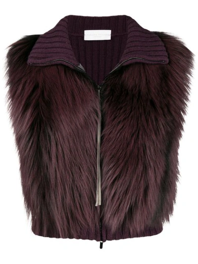 Shop Fabiana Filippi Ribbed Fur Vest - Pink