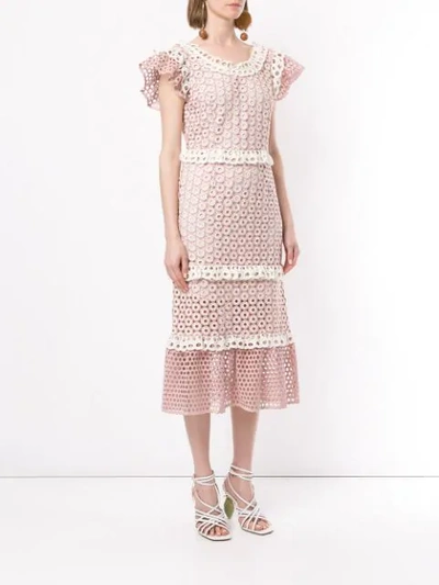 Shop Sea Lace Trim Dress In Pink