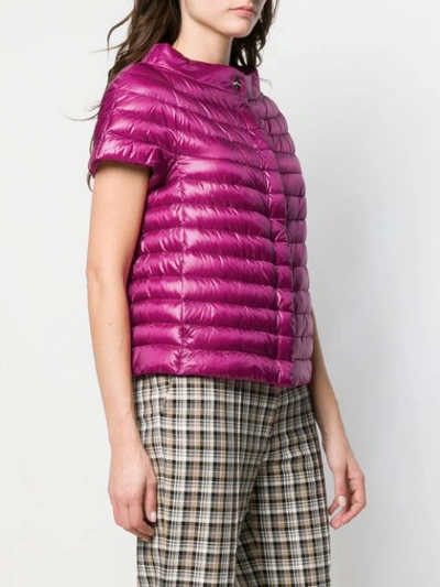 Shop Herno Metallic Quilted Jacket In Pink