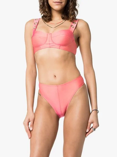 Shop Ack Amore Amarena Bikini In Pink