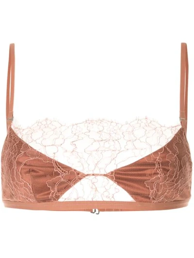 Shop Dion Lee Lace-embellished Bandeau Bra In Brown