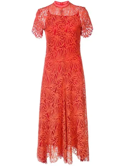 Shop Proenza Schouler Lace Short Sleeve Dress In Tangerine