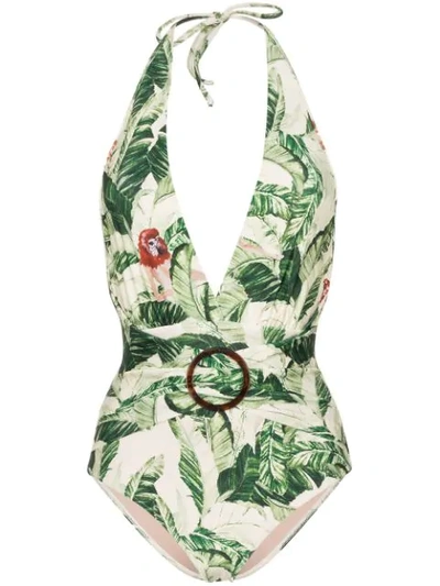 Shop Adriana Degreas Tropical Print Belted Swimsuit In Multicolour