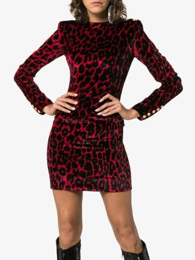 Shop Balmain Leopard Print Silk Mini Dress In C5502 Red Black