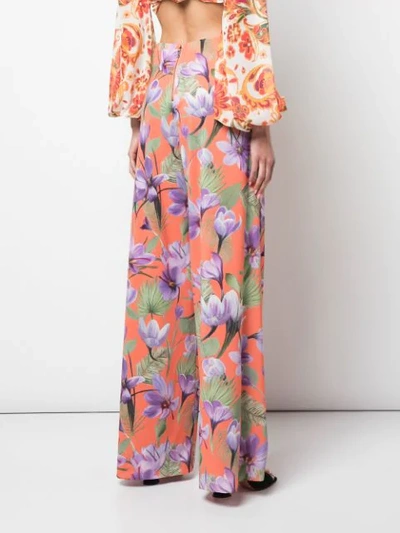Shop Alice And Olivia Printed Palazzo Trousers In Orange