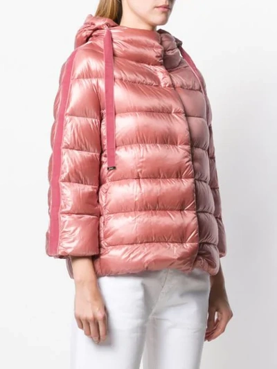 Shop Herno Padded Jacket In Pink