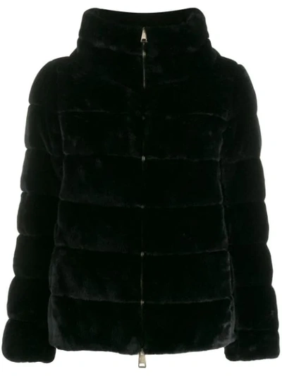 Shop Herno Faux Fur Puffer Jacket In Black