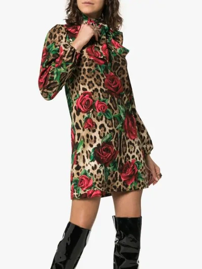 Shop Dolce & Gabbana Rose And Leopard Print Mini Dress In Brown