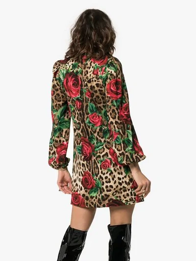 Shop Dolce & Gabbana Rose And Leopard Print Mini Dress In Brown