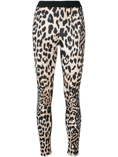 Shop Paco Rabanne Leopard Print Leggings In Brown