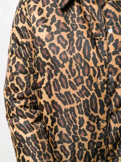 Shop Miu Miu Leopard Print Coat In Neutrals