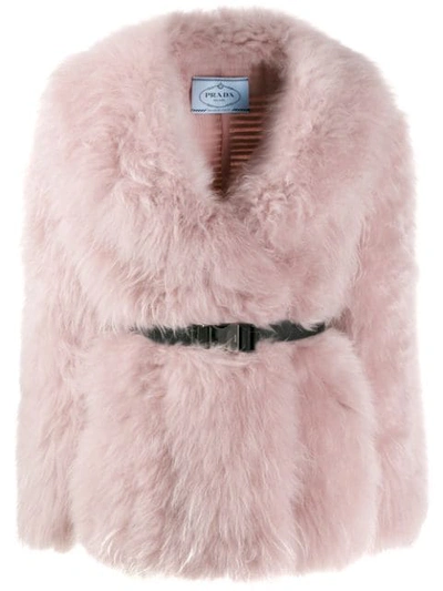 Shop Prada Belted Goat Fur Jacket In F0d61 Camelia