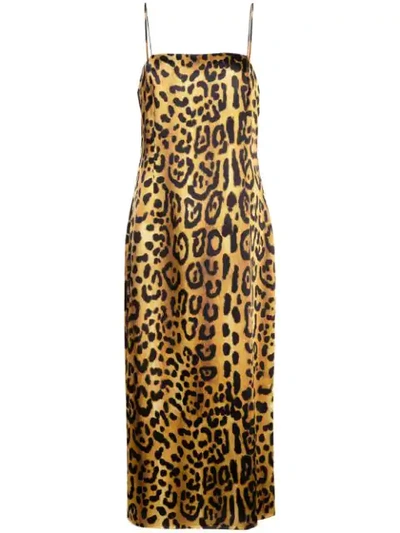 Shop Adam Lippes Leopard Cami Dress In Multicolour