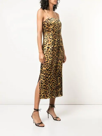 Shop Adam Lippes Leopard Cami Dress In Multicolour