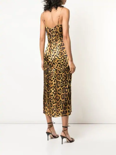 Shop Adam Lippes Leopard Cami Dress In Multicolour