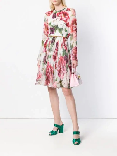 Shop Dolce & Gabbana Rose Print Pleated Dress - Multicolour
