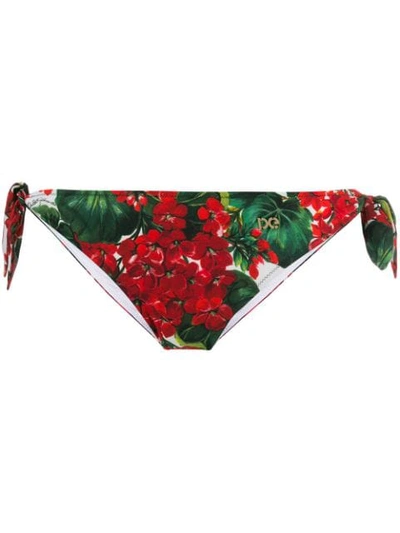 Shop Dolce & Gabbana Geranium-print Bikini Bottoms In Red